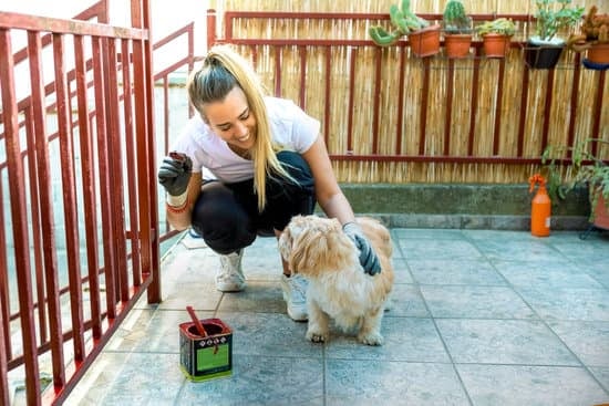 How to Grow a Home Improvement Business: 10 Proven Strategies for Success